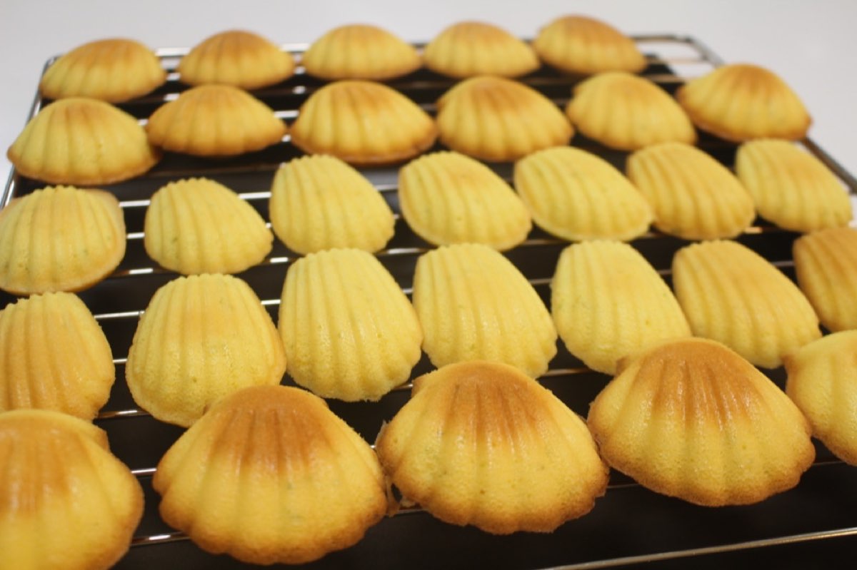 檸檬瑪德蓮